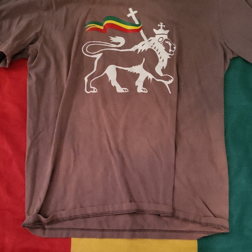 Men's Short Sleeve Graphic Tee - Brown